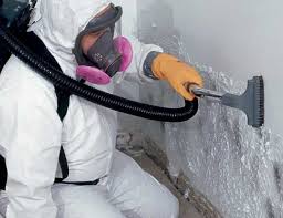 Professional Mold Inspection in Westminster, CO